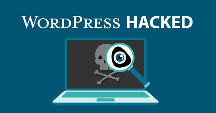 What is the Average Cost of a Hacked WordPress Site Recovery?
